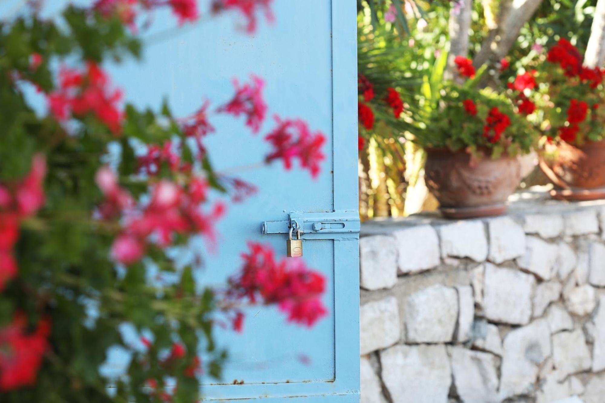 Le Cese Bed & Breakfast 3*